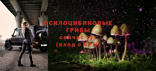 гашик Алексеевка